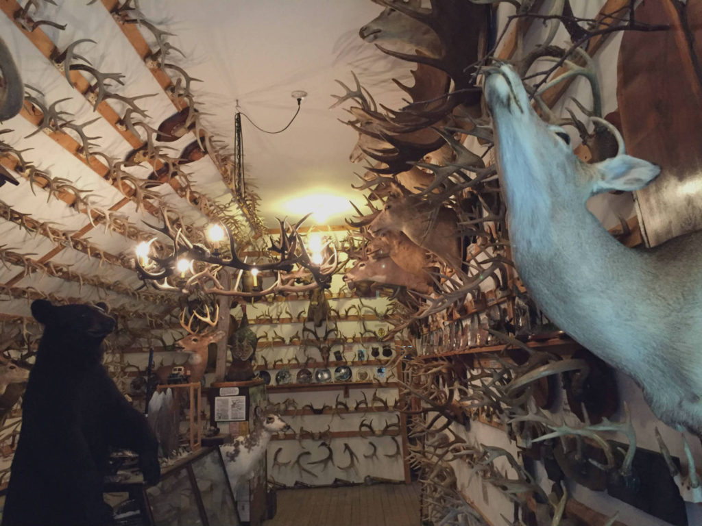 Exhibit Room at the Antler Shed in West Valley, New York