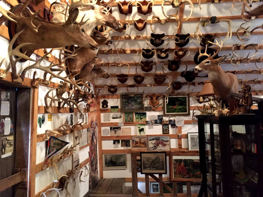 Antler Exhibit Room in West Valley, New York