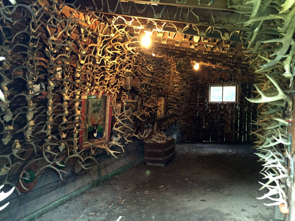 Antler Shed Extension Room in West Valley, NY
