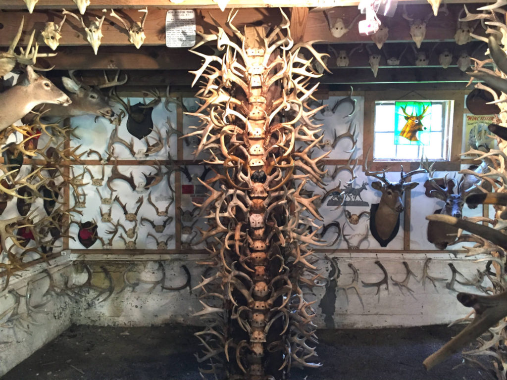 Column of Antlers in West Valley, New York