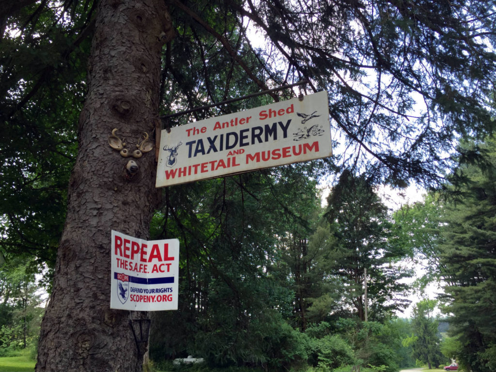 The Antler Shed - White Tail Museum and Taxidermy in West Valley, New York