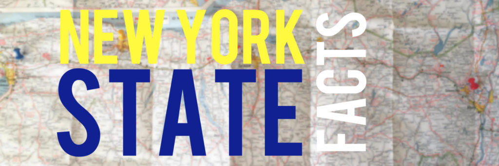 New York State Facts - Banner