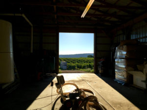 Randall-Standish Vineyards from Inside the Barn in Canandaigua, New York
