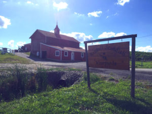 Randall-Standish Vineyards in Canandaigua, New York