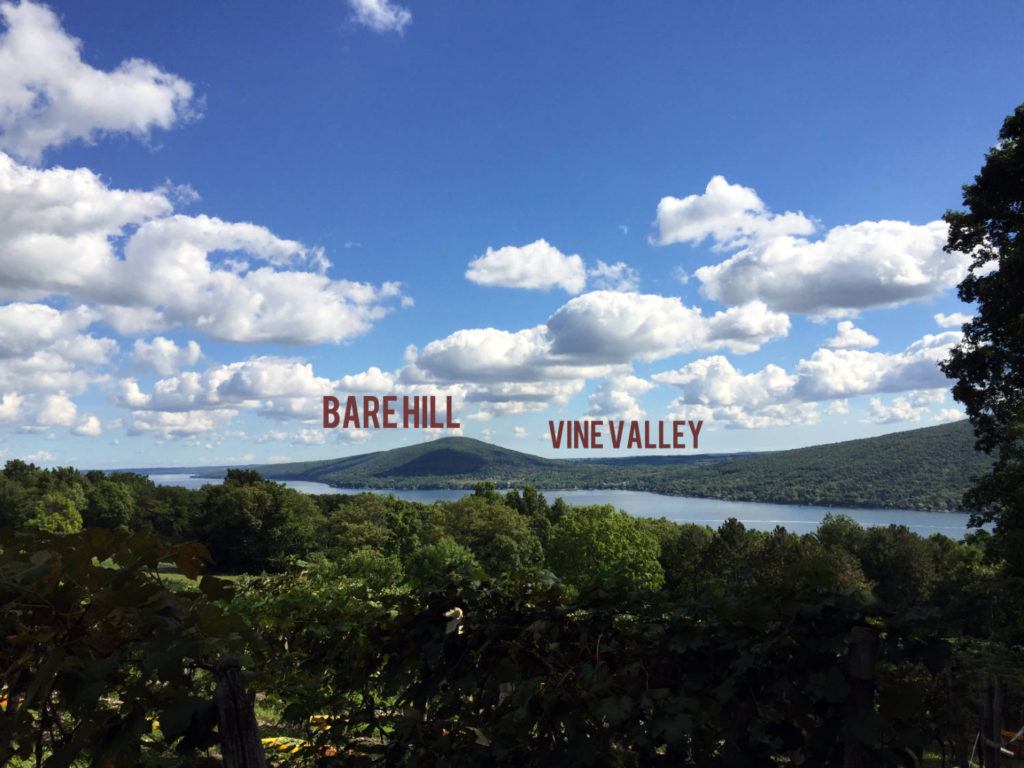 Bare Hill and Vine Valley in Canandaigua, New York