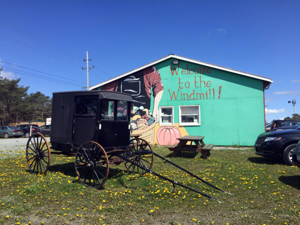 Mennonite Buggy at the Windmill