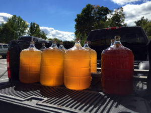 Grape Juices at Fulkerson Winery in Dundee, New York