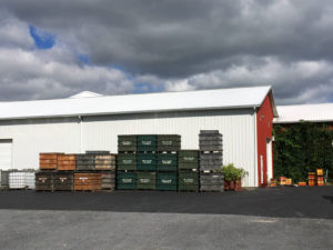 Bins at Fulkerson Winery in Dundee, New York