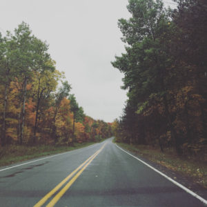 Roadway in Fall in Bristol Hills, New York