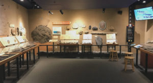 Ordovician Period Exhibit at the Museum of the Earth in Ithaca, New York