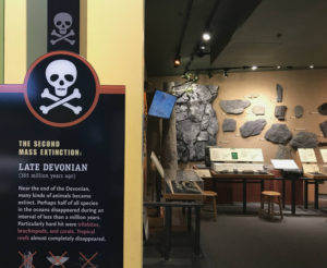 Late Devonian Period Room at the Museum of the Earth in Ithaca, New York
