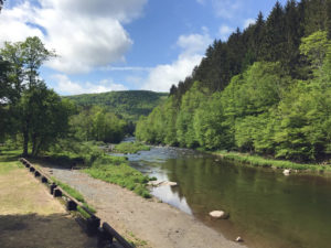 Beaverkill River in Roscoe, New York, Sullivan County