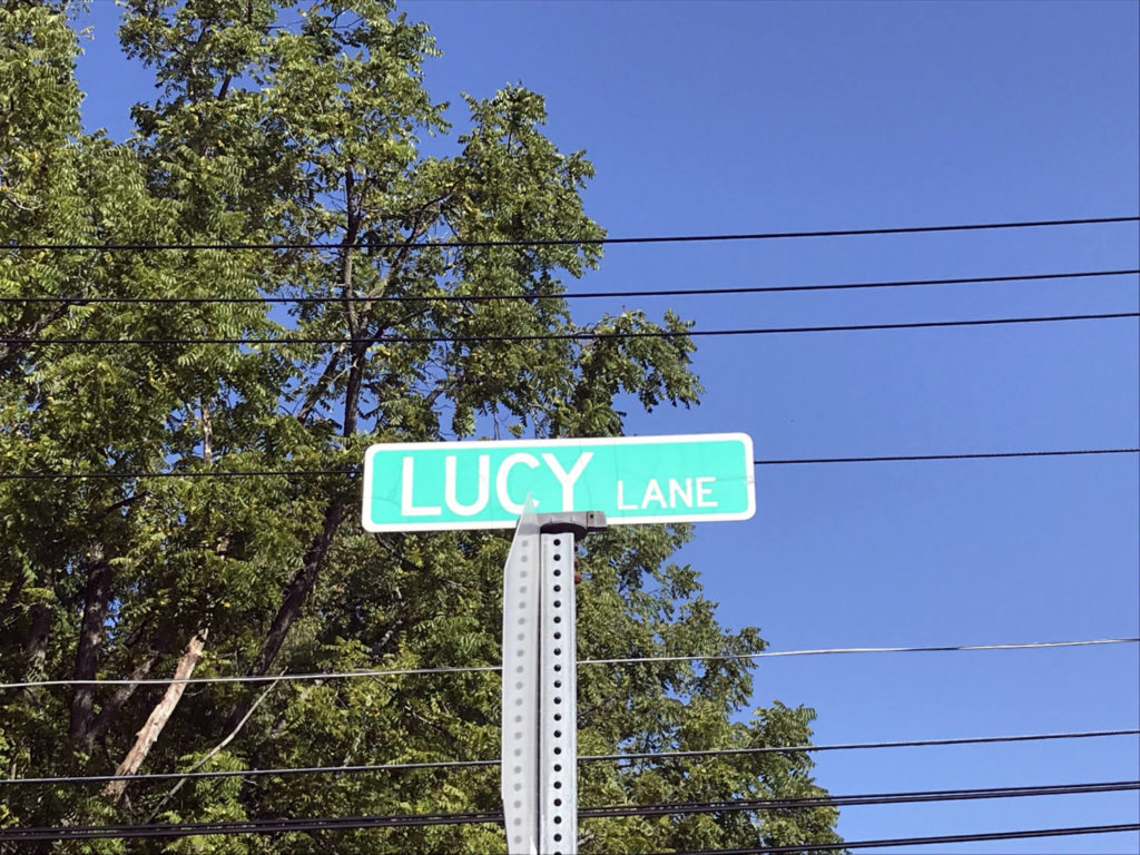 Lucy Lane in Celeron, New York