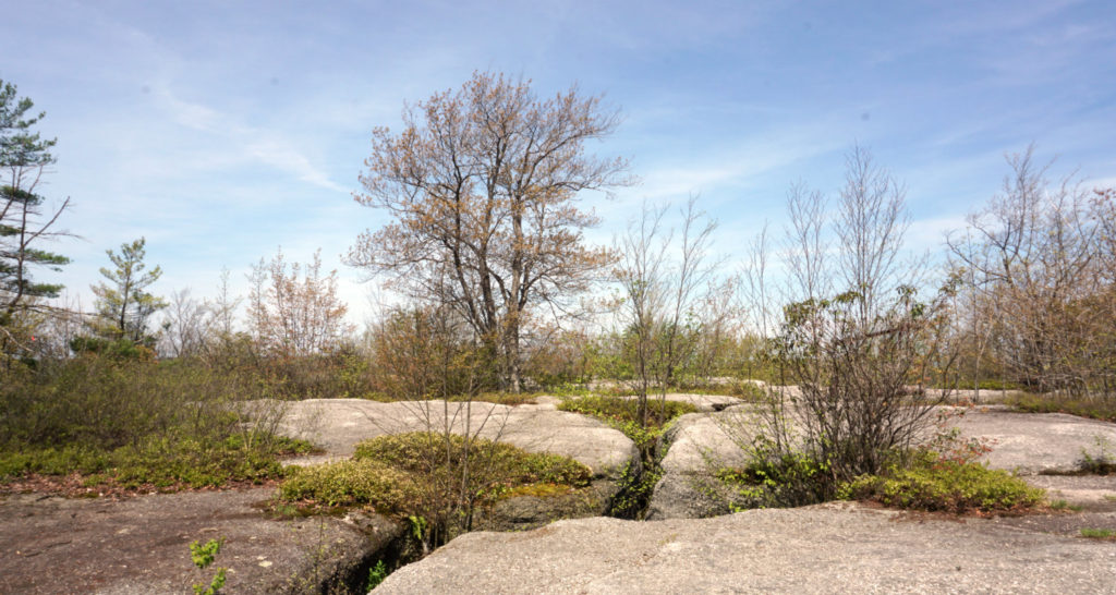 Atop Rock City Park in Olean, New York