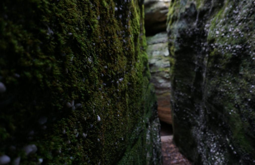 Stones in Rock City Park in Olean, New York