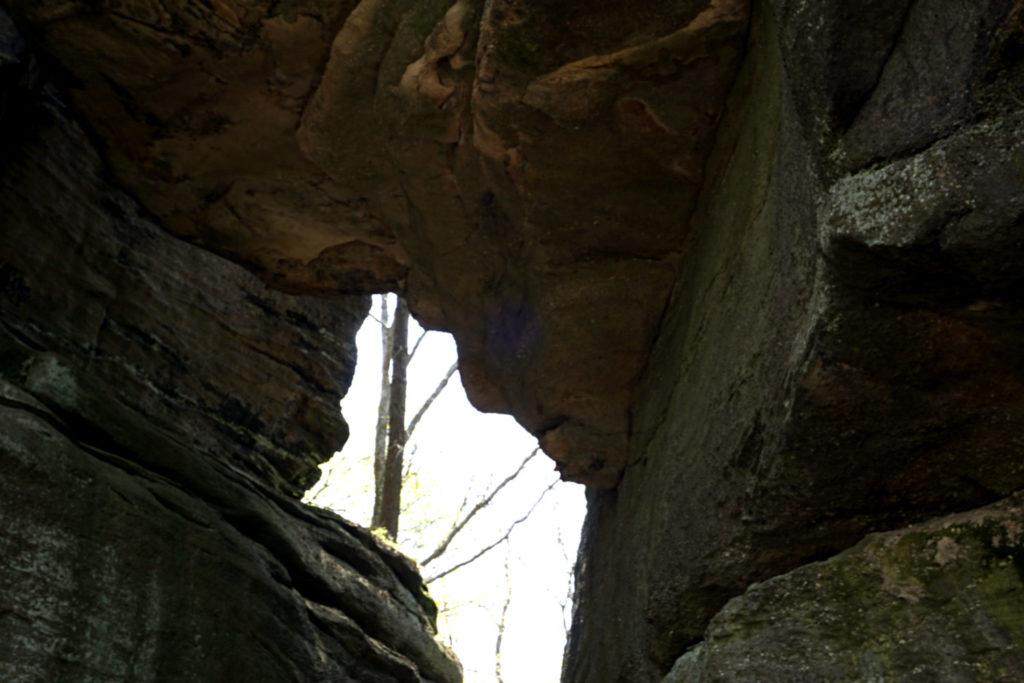 Old Man Face in Rock City Park in Olean, New York