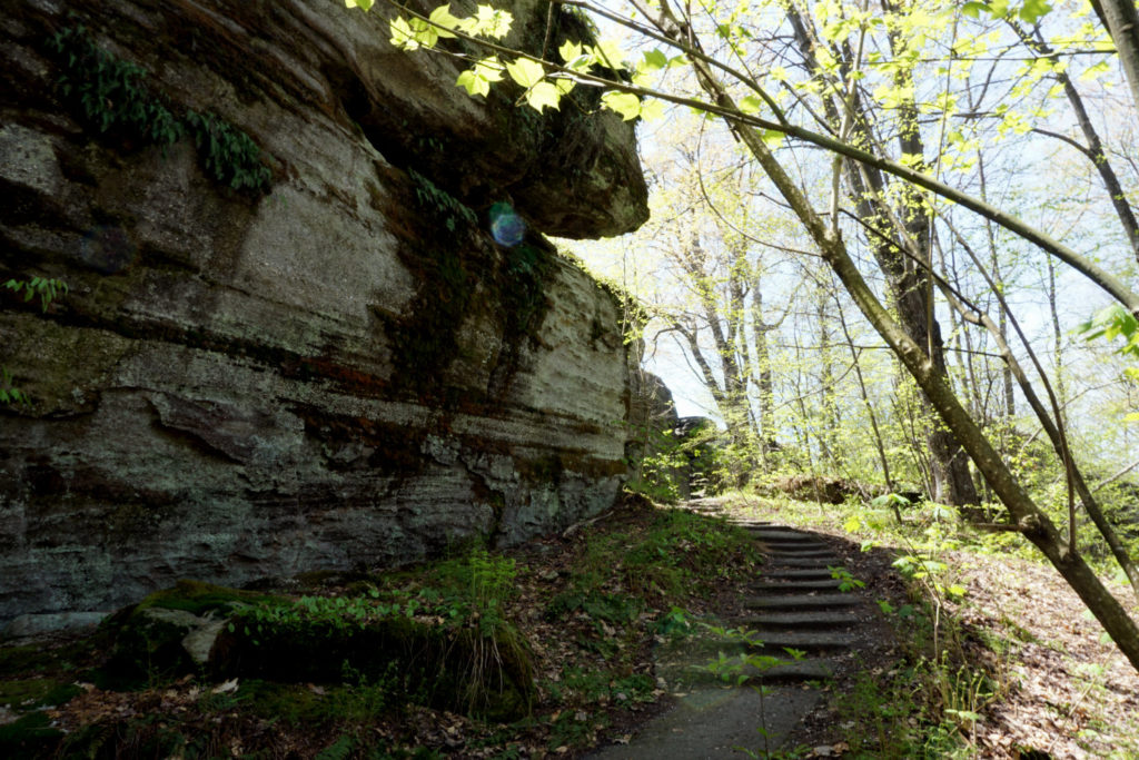 Stairs on Trail in Rock City Park in Olean, New York