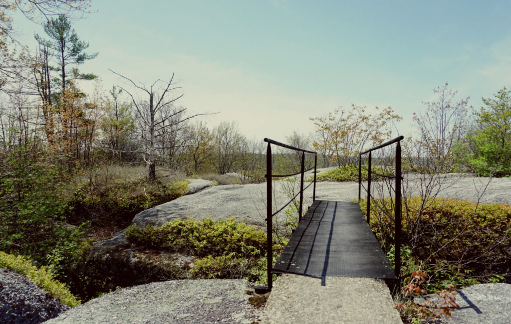 Bridge and Rocks in Rock City Park in Olean, New York