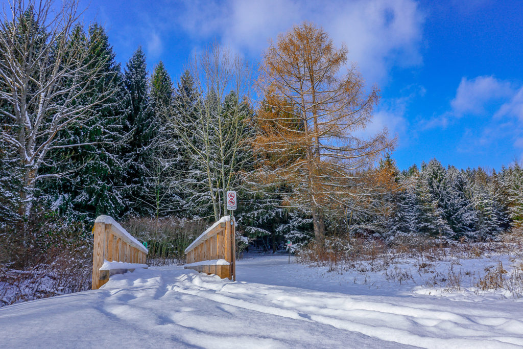 Winter Hike at the Genesee County Park and Forest