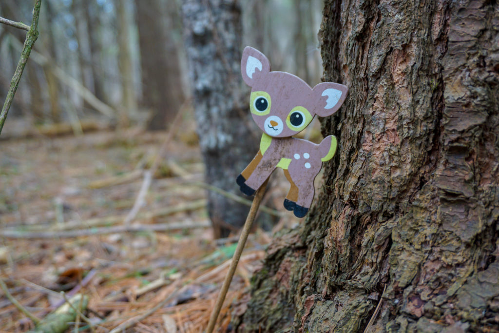Fairy Trail in Black Creek Park in North Chili, Monroe County