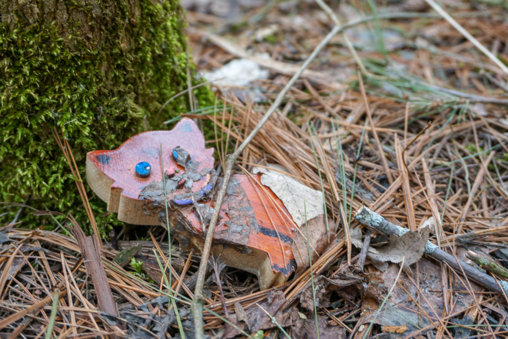Fairy Trail in Black Creek Park in North Chili, Monroe County