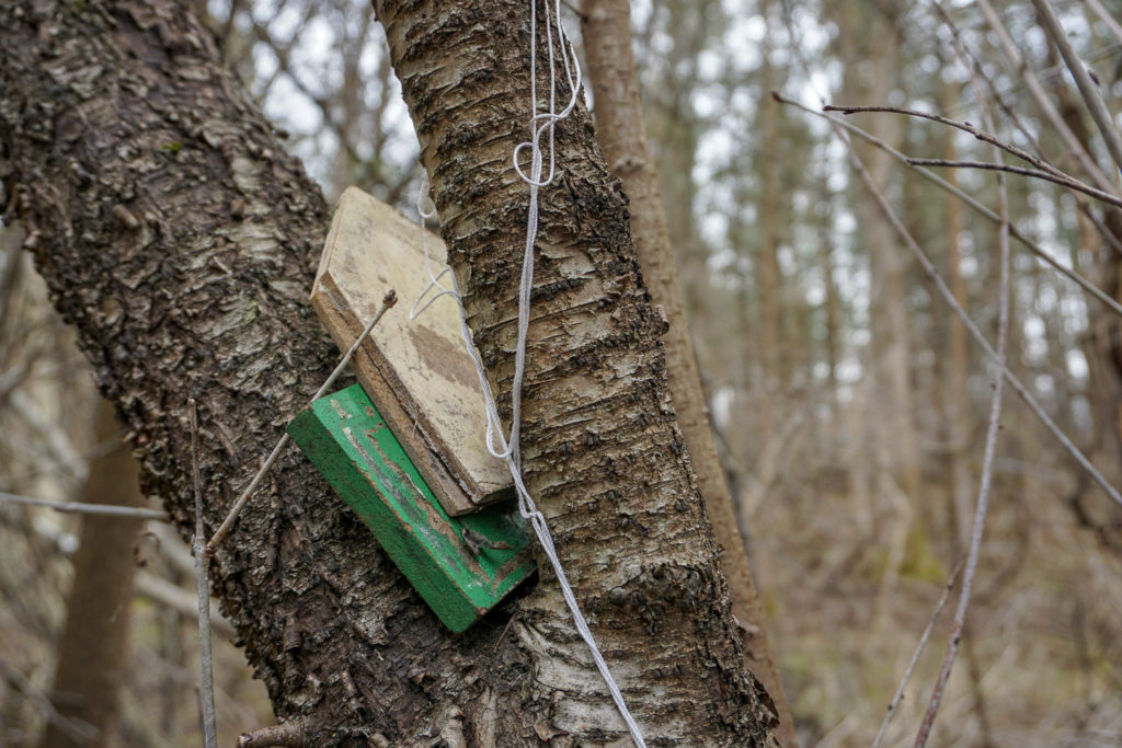 Fairy House in Black Creek Park near Rochester