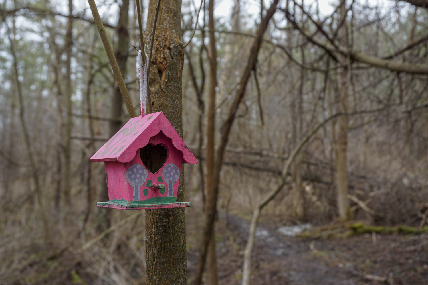 Fairy House in Black Creek Park near Rochester