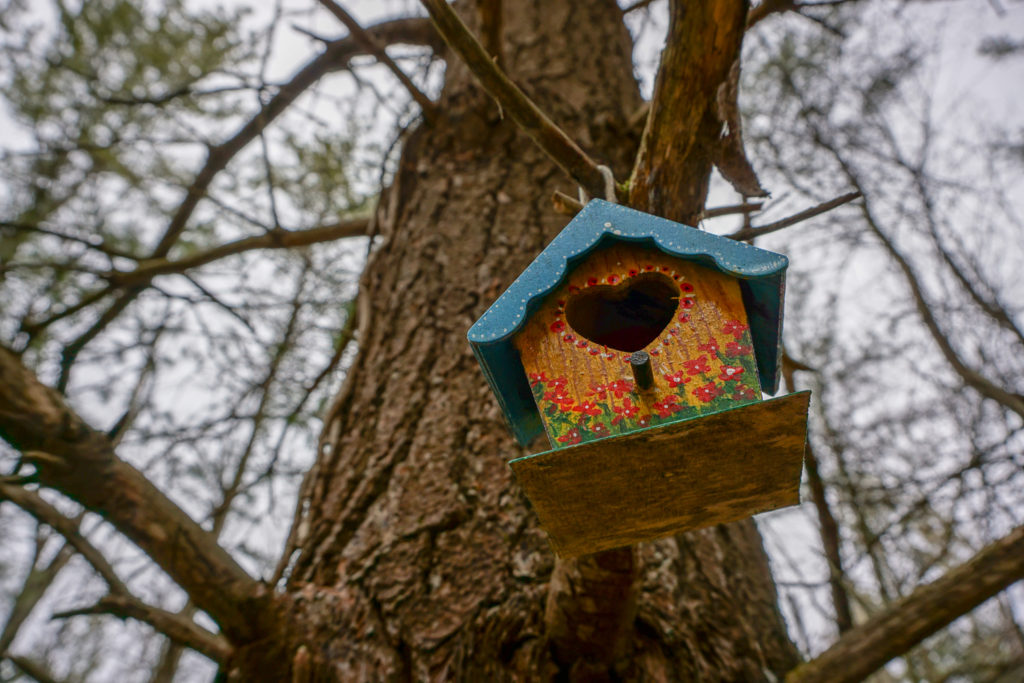 Fairy House in Black Creek Park near Rochester