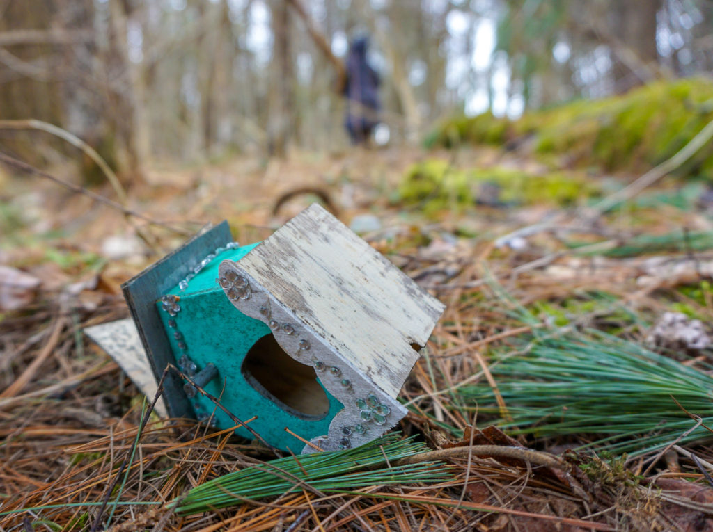Fairy House in Black Creek Park near Rochester
