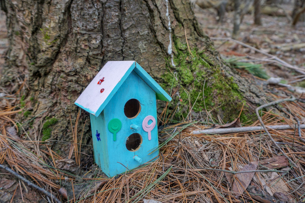 Fairy House in Black Creek Park near Rochester