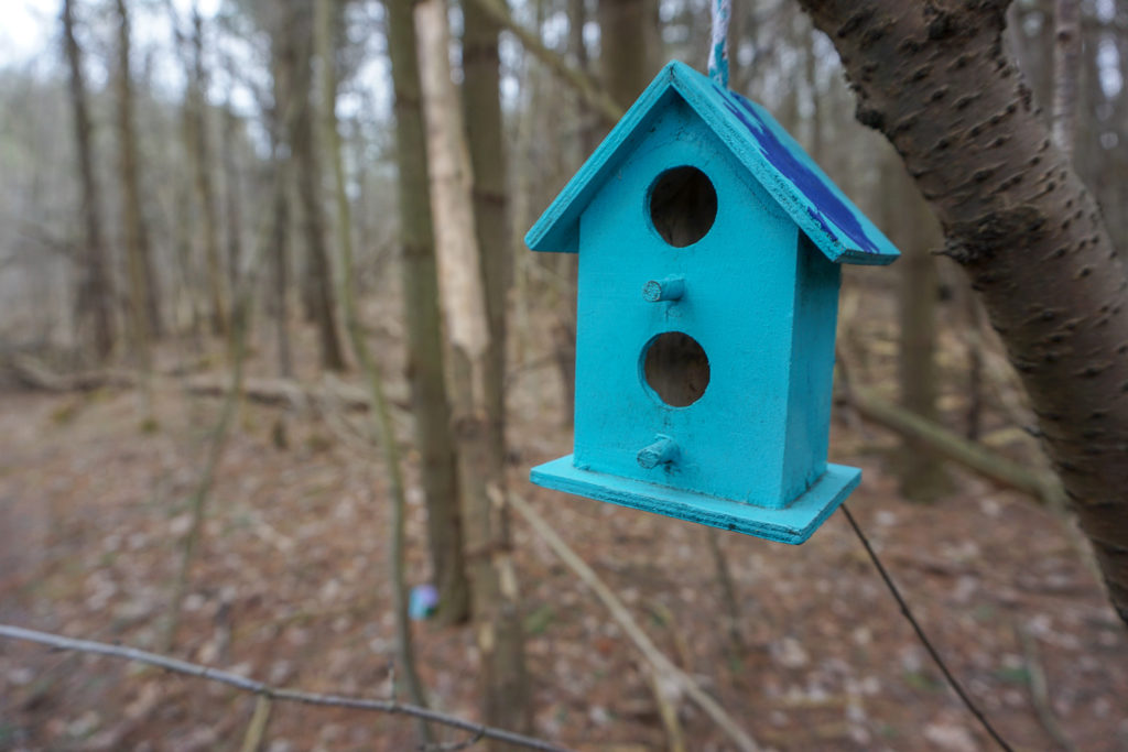 Fairy House in Black Creek Park near Rochester