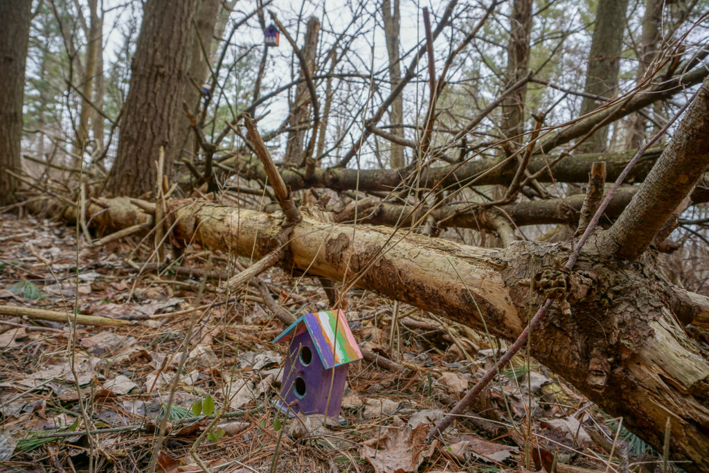 Fairy House in Black Creek Park near Rochester