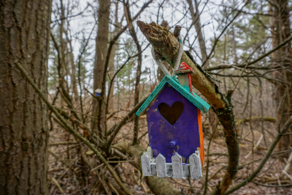 Fairy House in Black Creek Park near Rochester