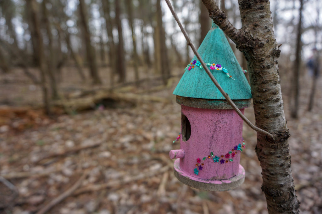 Fairy House in Black Creek Park near Rochester