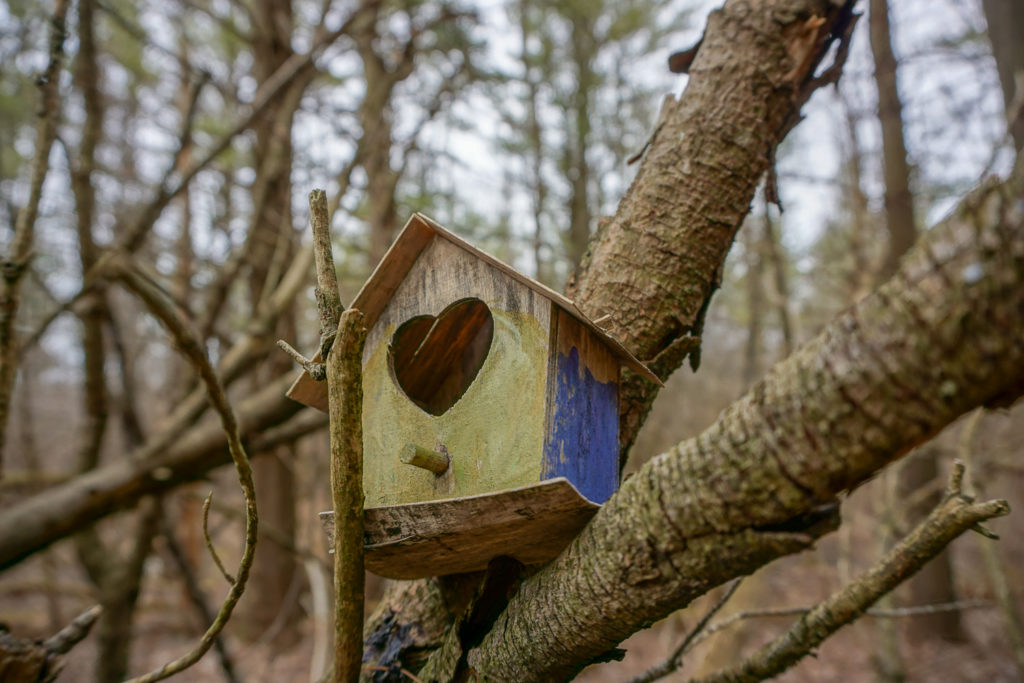Fairy House in Black Creek Park near Rochester