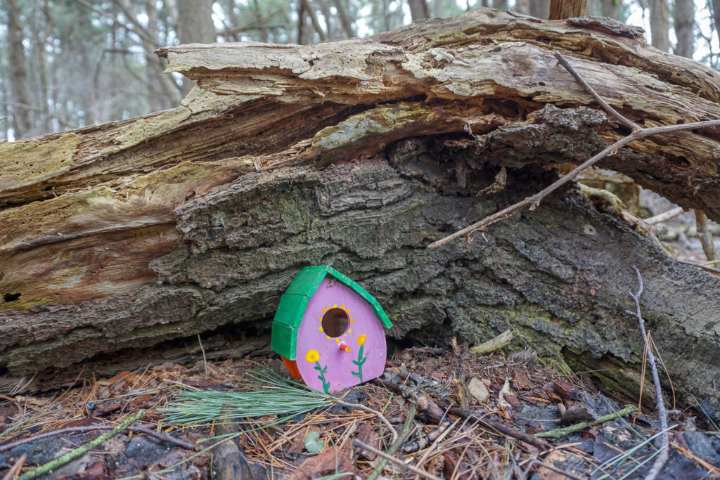 Fairy House in Black Creek Park near Rochester