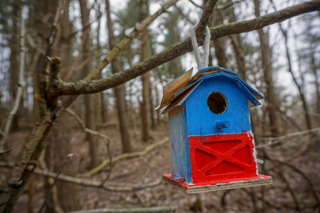 Fairy House in Black Creek Park near Rochester