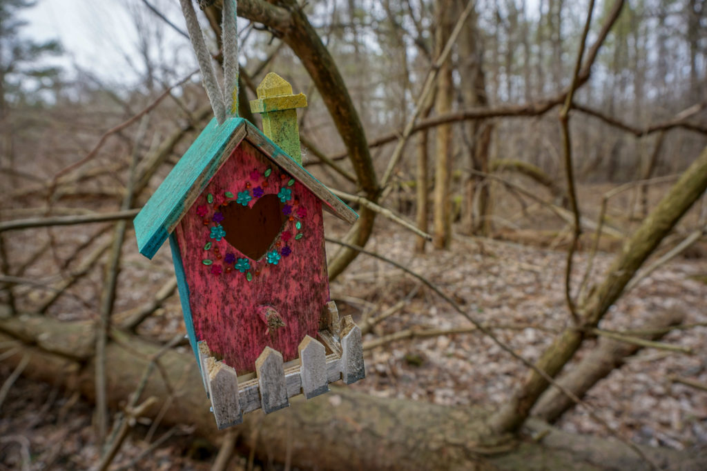 Fairy House in Black Creek Park near Rochester