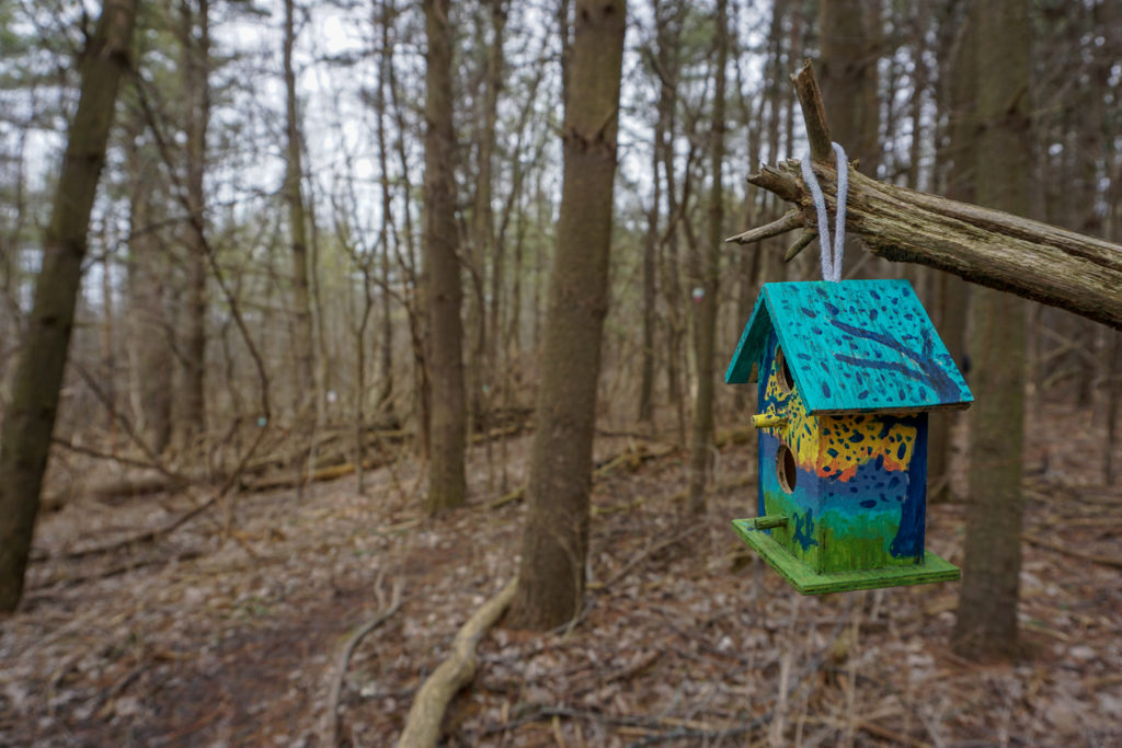 Fairy House in Black Creek Park near Rochester