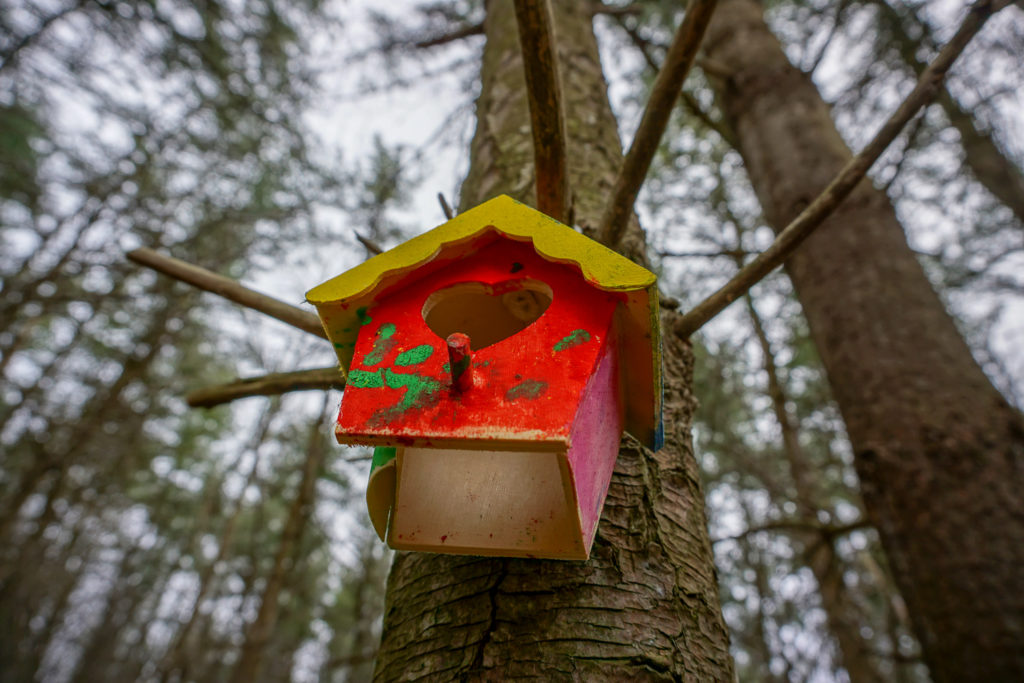 Fairy House in Black Creek Park near Rochester