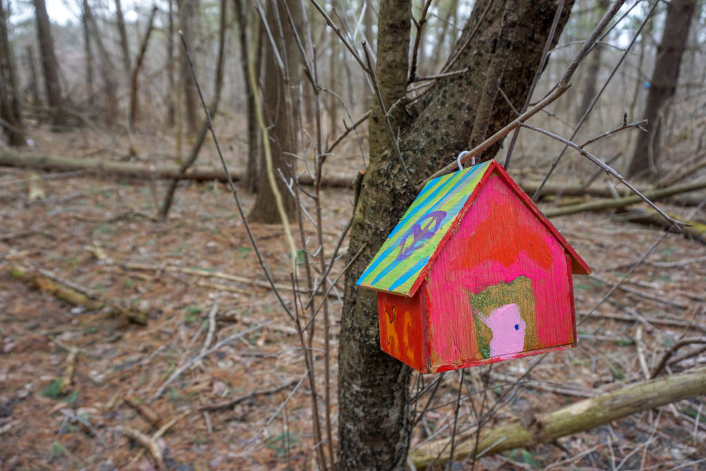 Fairy House in Black Creek Park near Rochester