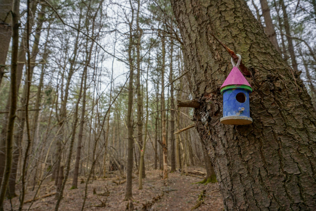 Fairy House in Black Creek Park near Rochester