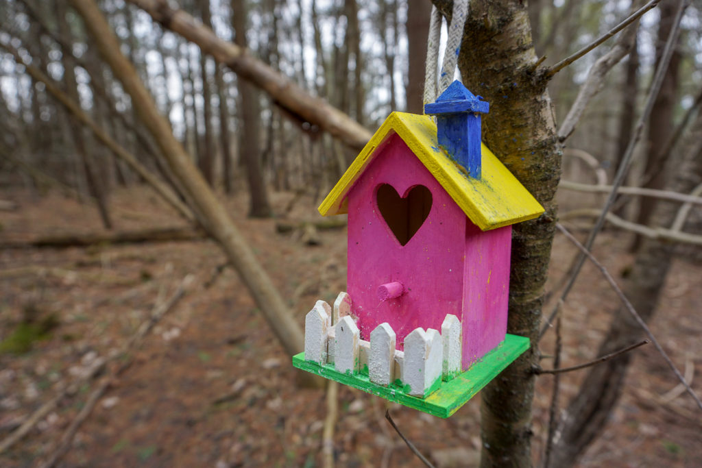 Fairy House in Black Creek Park near Rochester