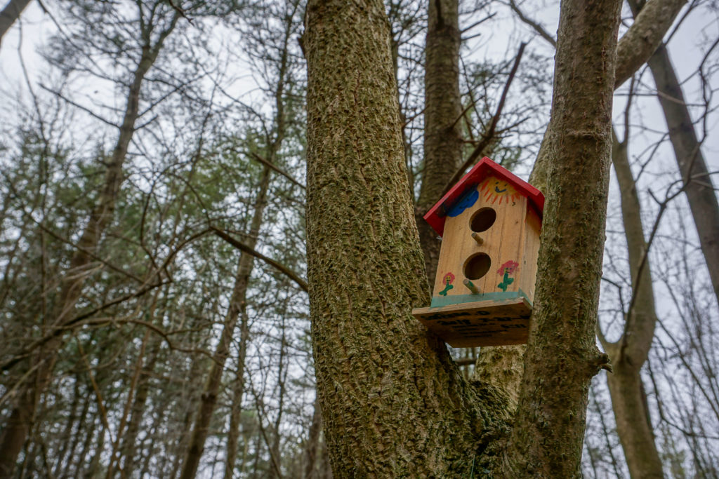 Fairy House in Black Creek Park near Rochester
