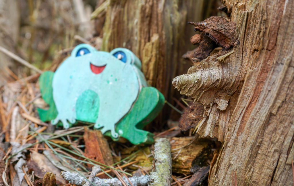 Fairy House in Black Creek Park near Rochester