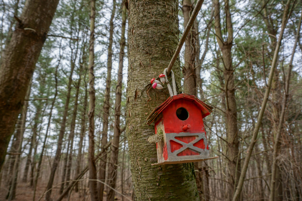 Fairy House in Black Creek Park near Rochester
