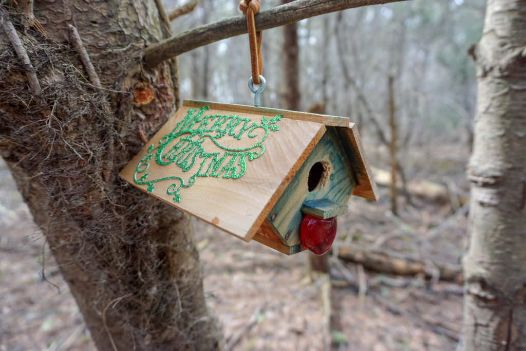Fairy House on Trail in Black Creek Park in Monroe County
