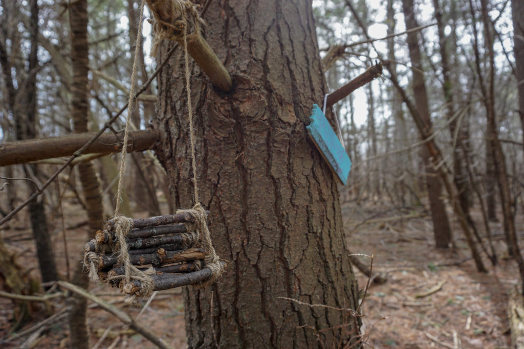Fairy Trail in Black Creek Park in North Chili