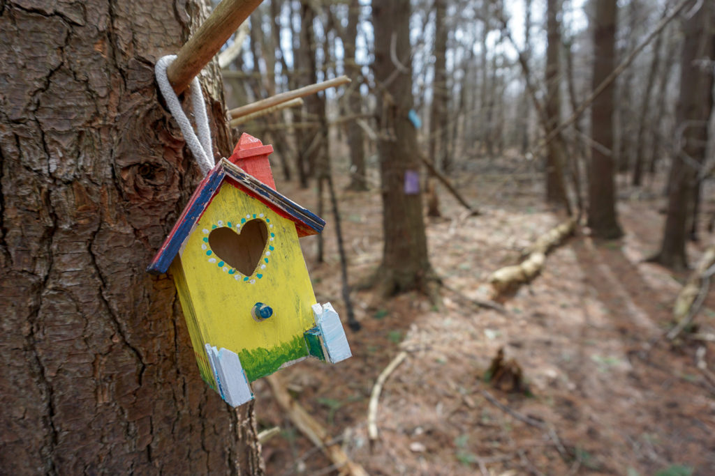 Fairy House on Trail in Black Creek in Monroe County