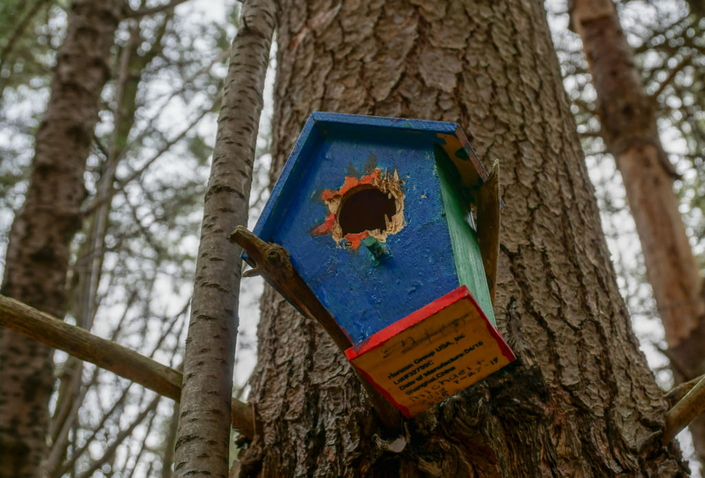 Fairy House on Trail in Black Creek in Monroe County